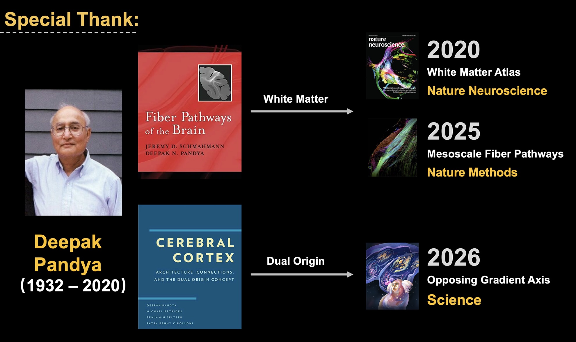 Tribute graphic to Dr. Deepak Pandya and his influence on later Marmoset Brain Mapping work